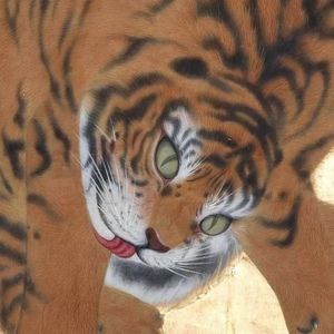 Meet your Posher, Elias